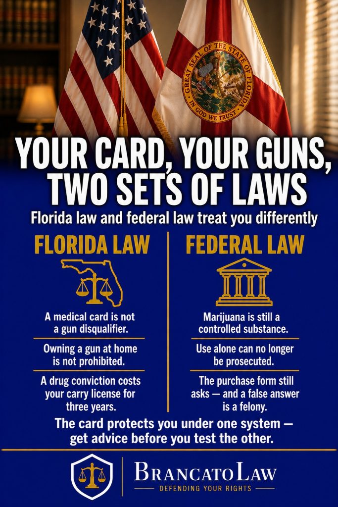 Comparison infographic: Florida law does not treat a medical marijuana card as a gun disqualifier, but federal law still lists marijuana as a controlled substance and a false answer on the purchase form is a felony. Brancato Law, Tampa criminal defense.