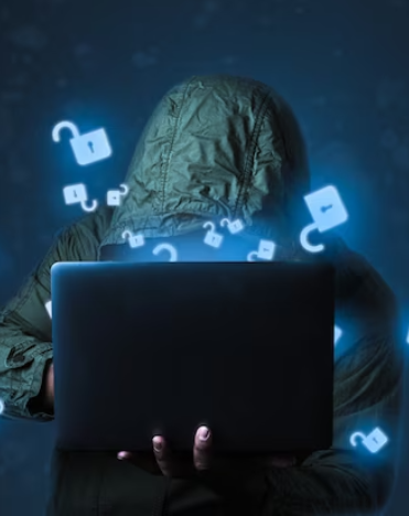 Internet Crimes